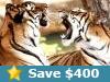 Tigers Ganges Taj